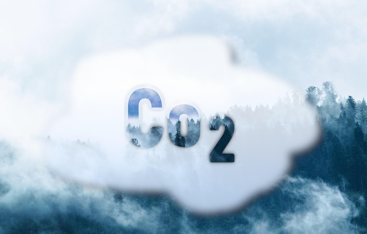 CO₂-Management